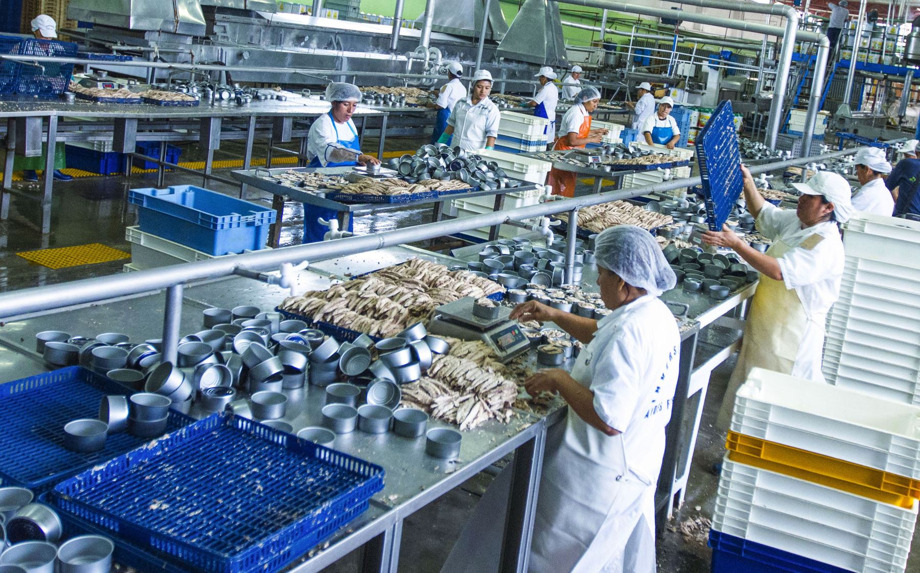 Procesos productivos