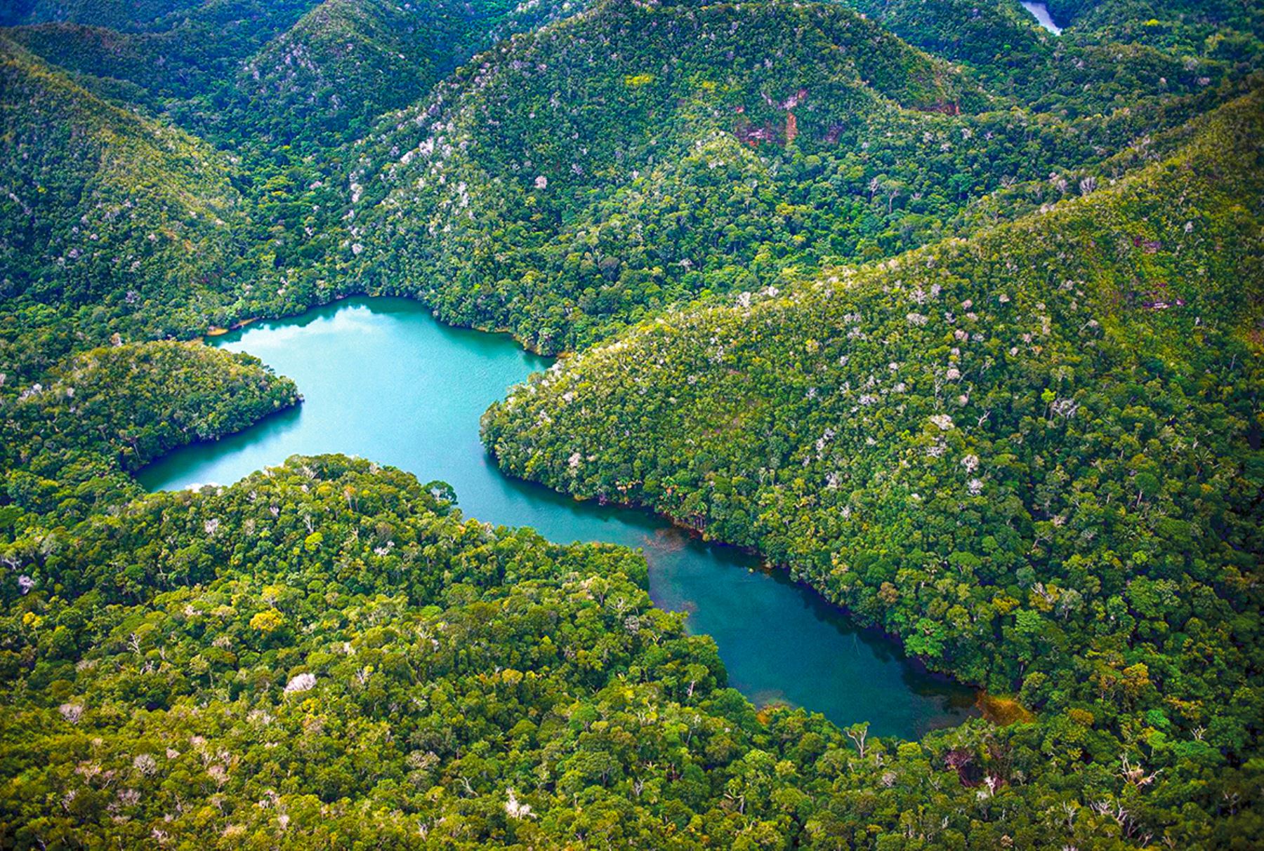 Biodiversidad